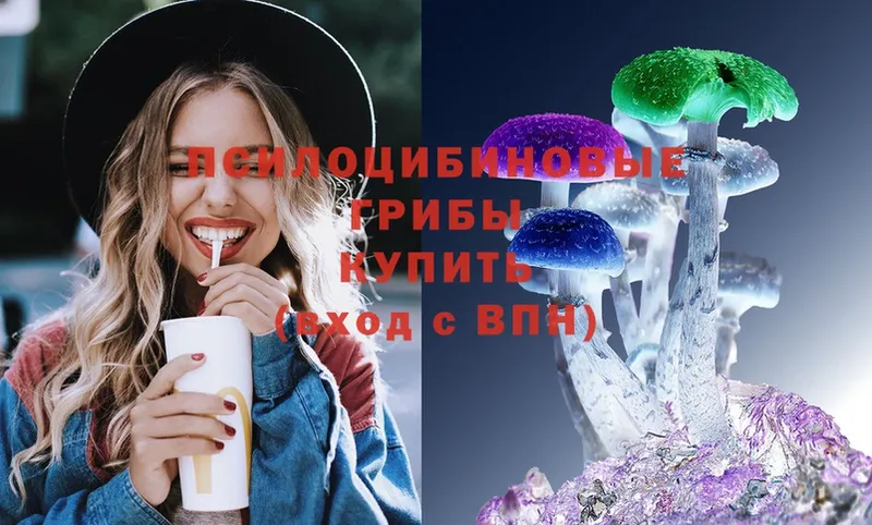 Галлюциногенные грибы Psilocybine cubensis  Златоуст 